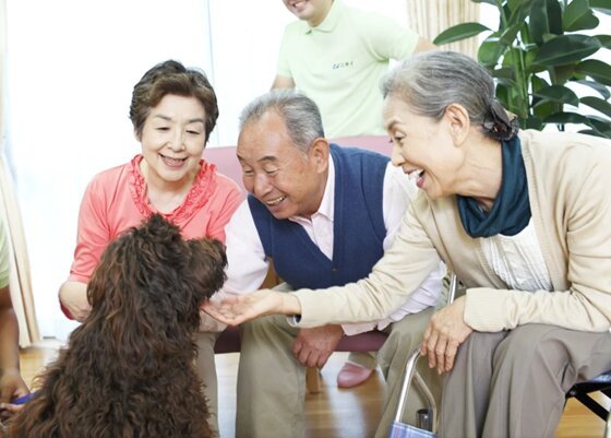 ニチイホーム溝の口