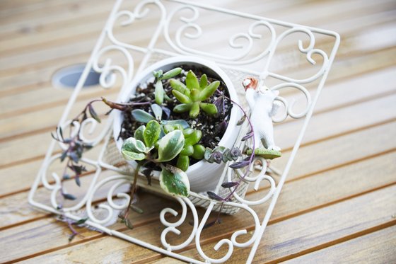 ウェルケアテラス新座