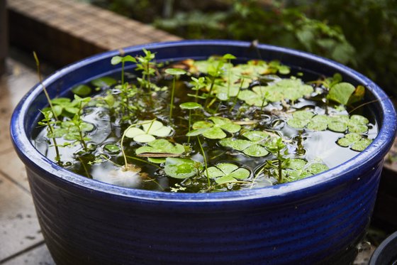 ウェルケアテラス新座