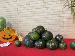 カボチャのハロウィン飾り