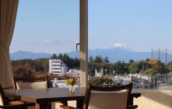 ウェルケアヒルズ馬事公苑