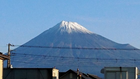 フローレンス新富士