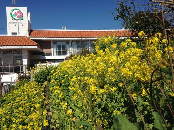 愛加那リハリゾート