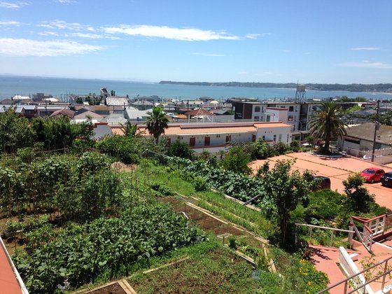 愛加那リハリゾート