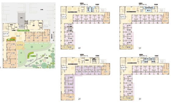 ハイリタイヤー金城