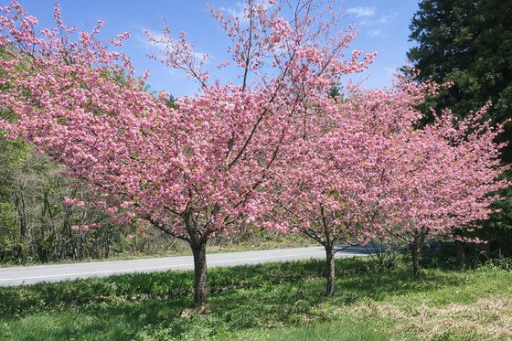 グループホームいなわしろの憩