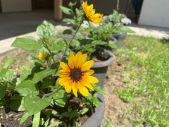 花で季節を感じる