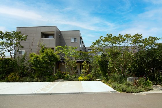 銀木犀<八千代>