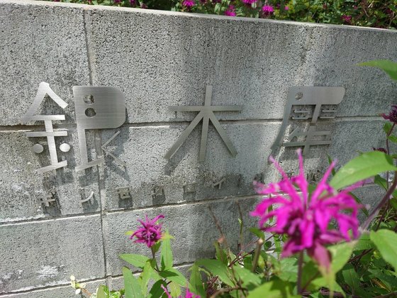 銀木犀<八千代>