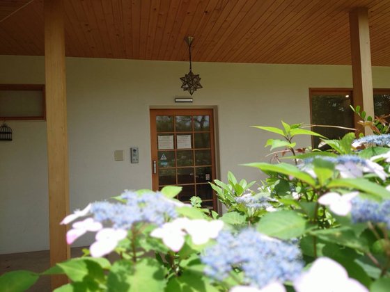 銀木犀<八千代>