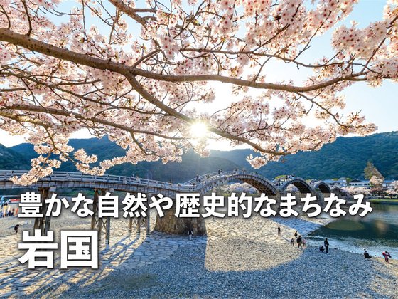 あいらの杜(もり) 新岩国駅前