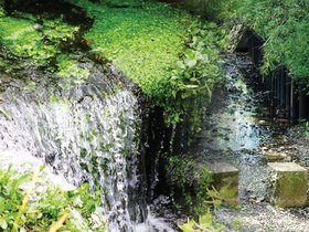 あいらの杜 東久留米