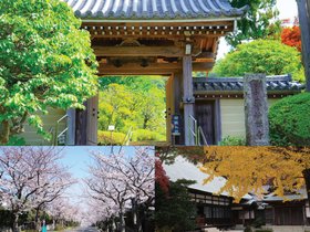 あいらの杜 鎌倉浄明寺