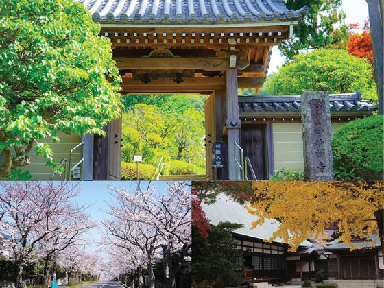 あいらの杜 鎌倉浄明寺