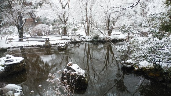 アレンジメントケア箱根仙石原