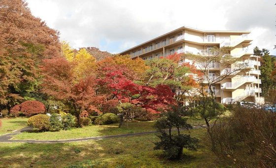 アレンジメントケア箱根仙石原