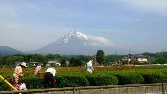 アレンジメントケア裾野