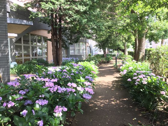 松戸ニッセイエデンの園