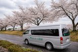 お花見ツアーに行ってきました。