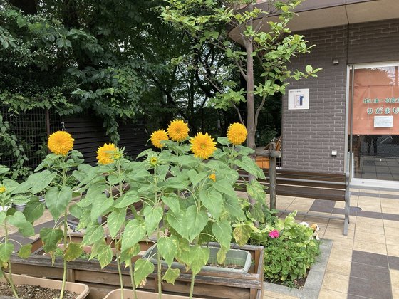 ゆいま～る拝島