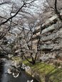 さくら【ゆいま～る拝島】