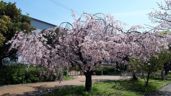 ゆいま～る福