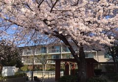 【見学会のご案内】ゆいま～る福