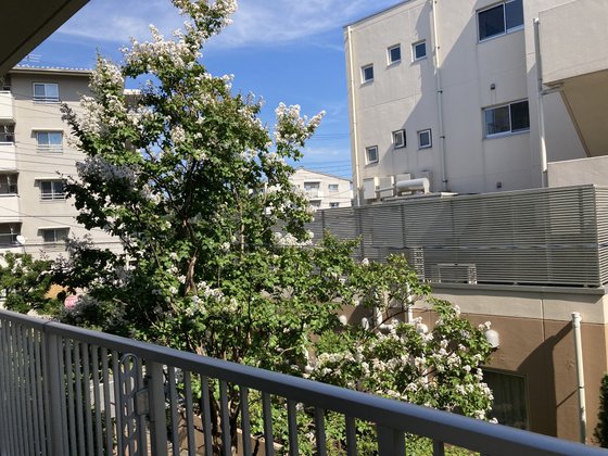 ゆいま～る聖ヶ丘