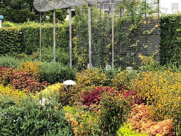 名古屋港ワイルドフラワーガーデン ブルーボネット でみつけた秋 ゆいま る神南 名古屋市港区 Lifull 介護