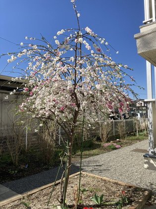 ゆいま～る都留