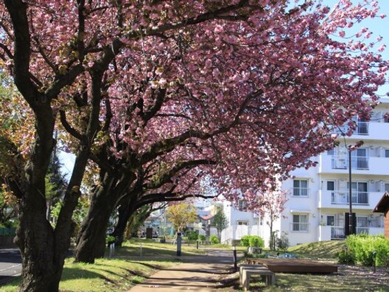 ゆいま～る多摩平の森