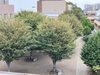 4階からの景色