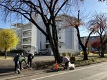 秋の一斉清掃
