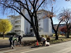 秋の一斉清掃