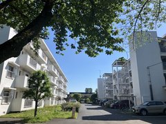 多摩平の森の新緑