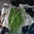 農家のお野菜をご紹介