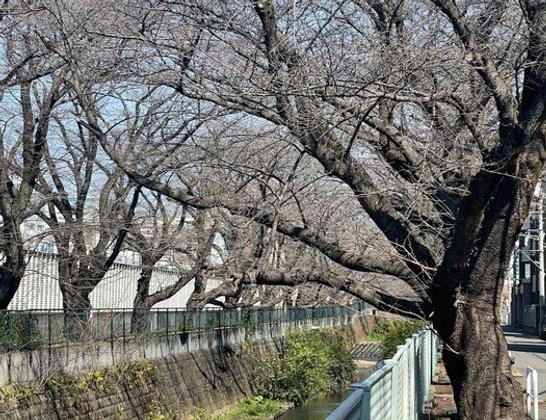 和気ハウス麻生