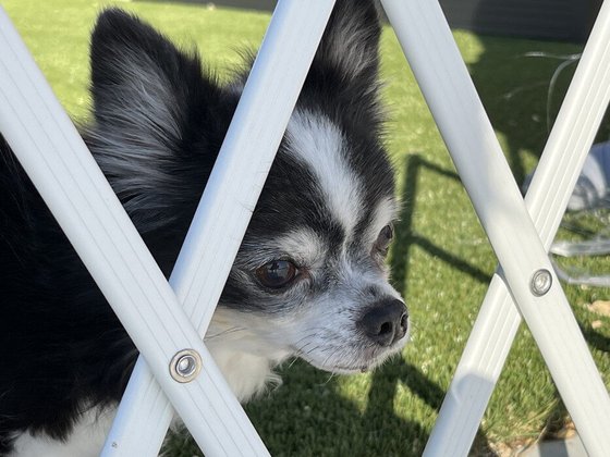 和気ハウス平塚