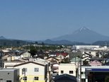 屋上からの贈りもの ～花と野菜、そして富士山～
