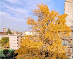 Tさんから届いた一枚の写真