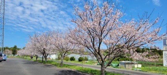 パークヒルズ慈遊館