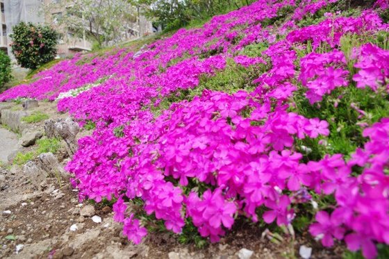 パークヒルズ慈遊館