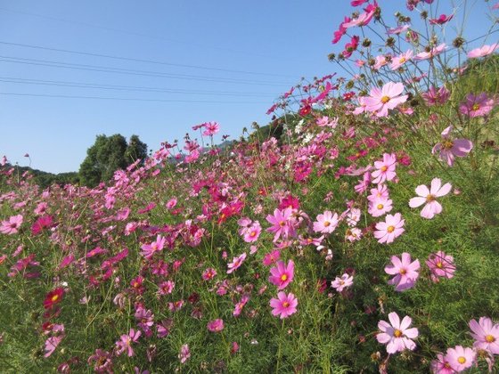 パークヒルズ慈遊館