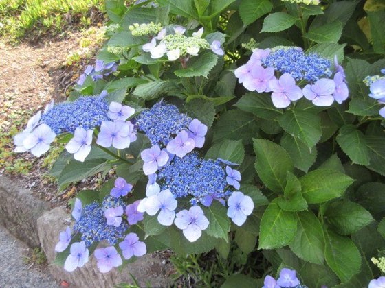 パークヒルズ慈遊館