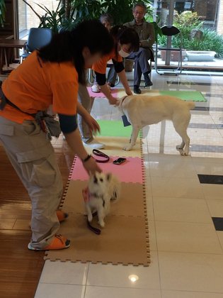 花咲池田21(チャーム・ケア・コーポレーショングループ)