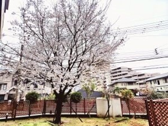 ライク羽曳野(チャーム・ケア・コーポレーショングループ)