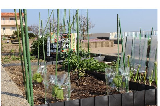 ザ・レジデンス神戸舞子