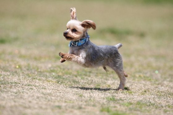 ザ・レジデンス神戸舞子