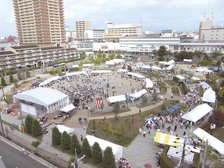 近くには花々が咲き誇るイベント公園も。
