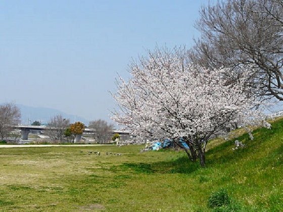 彩那テラス武庫川